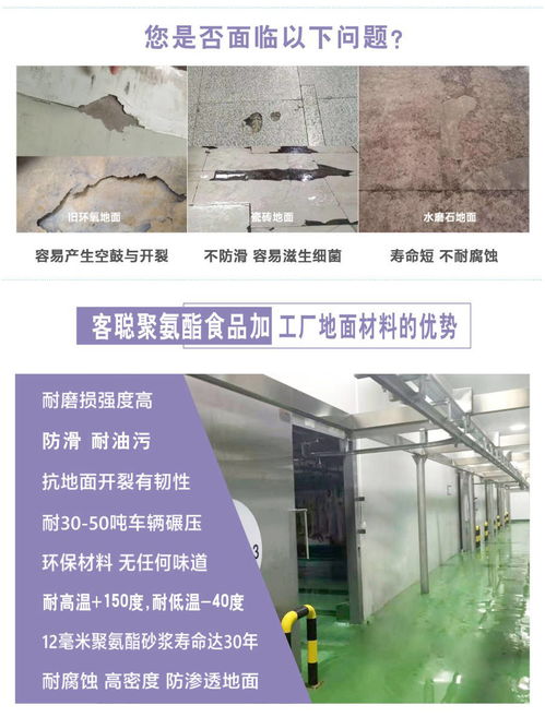 食品加工厂地面材质选择指南 安全、耐用与卫生的平衡艺术